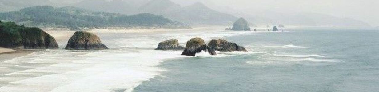 Main bb61cf77b621a62d69a4f10aeaa07471