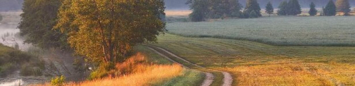 Main 248bf50563b1590afc54e8a5788a8158