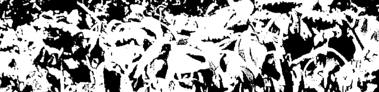 Main img 20260801 114624