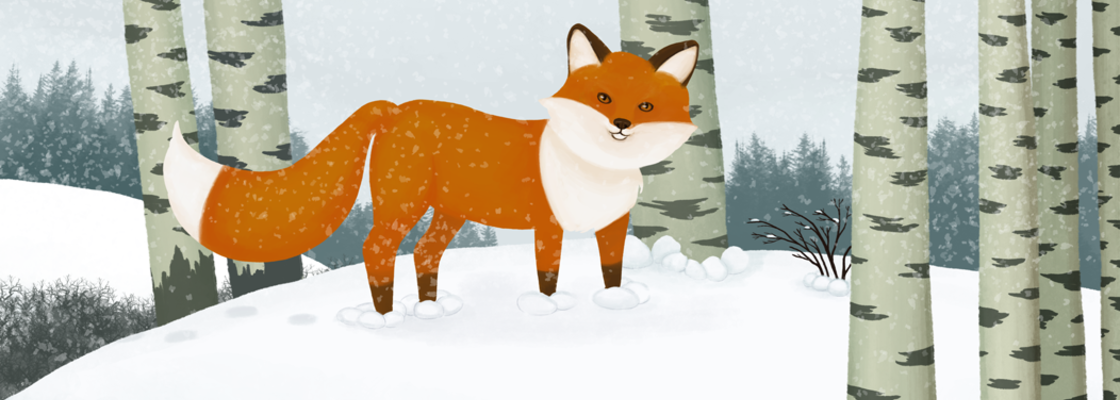 Main fox forest