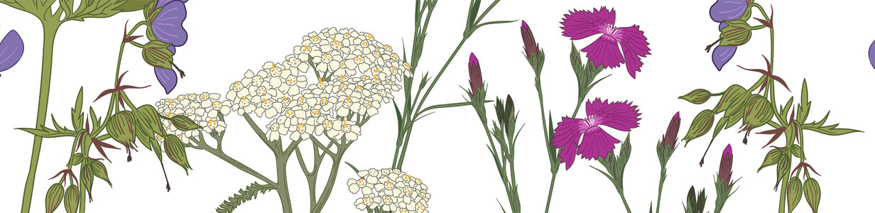 Main 8efc6b5f 1cac 4901 89e3 7c4753150208 rwc 2113x0x9103x1709x13334